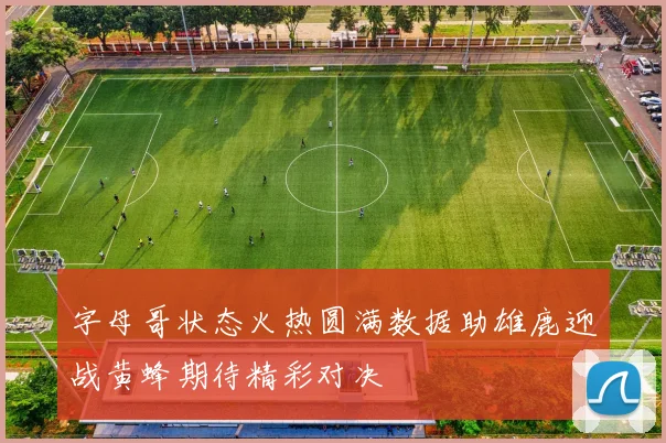 字母哥状态火热圆满数据助雄鹿迎战黄蜂期待精彩对决